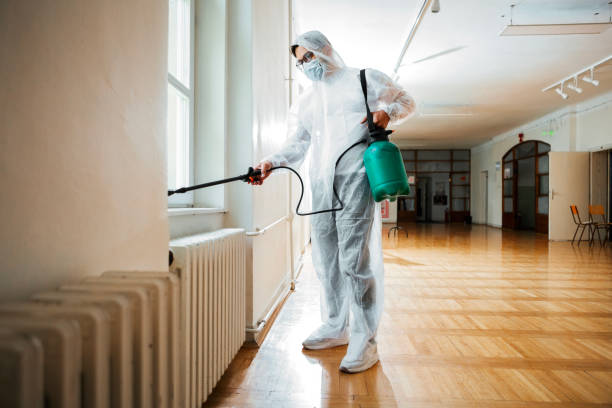 Emergency Pest Control in Marlinton, WV